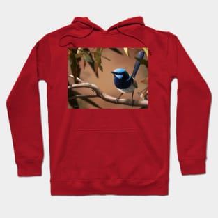 Fairy Wren Hoodie